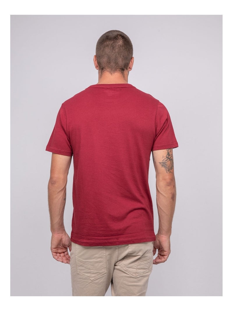 T-shirt van puur katoen met jablote-patroon. Bordeaux - Kiabi