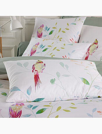 Taie d’oreiller percale de coton 80 fils oiseaux