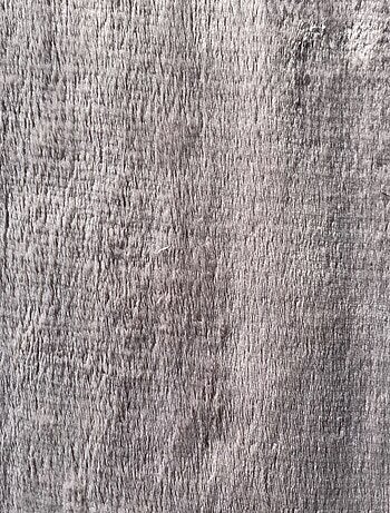Tapijt promo linge