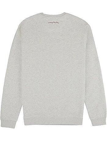 Teddy smith boston heren sweatshirt grijs