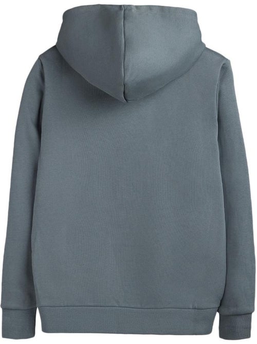 Teddy smith nark hoody heren hoodie grijs - Kiabi