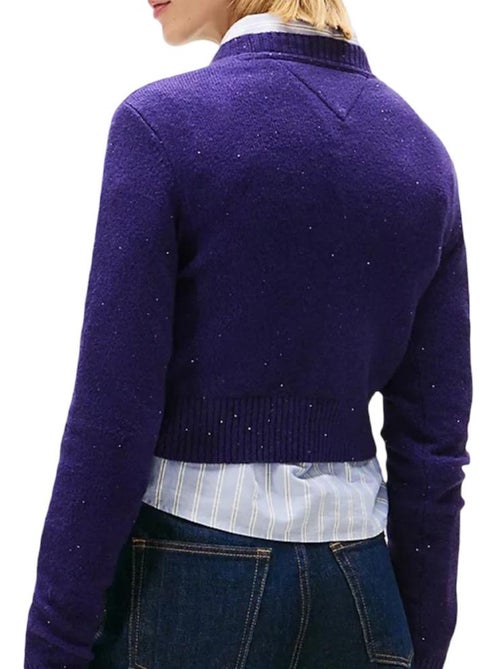 Tommy Hilfiger Tjw Sparkle Flag Violette Dames Trui - Kiabi Tommy Hilfiger Tjw Sparkle Flag Violette Dames Trui - Kiabi