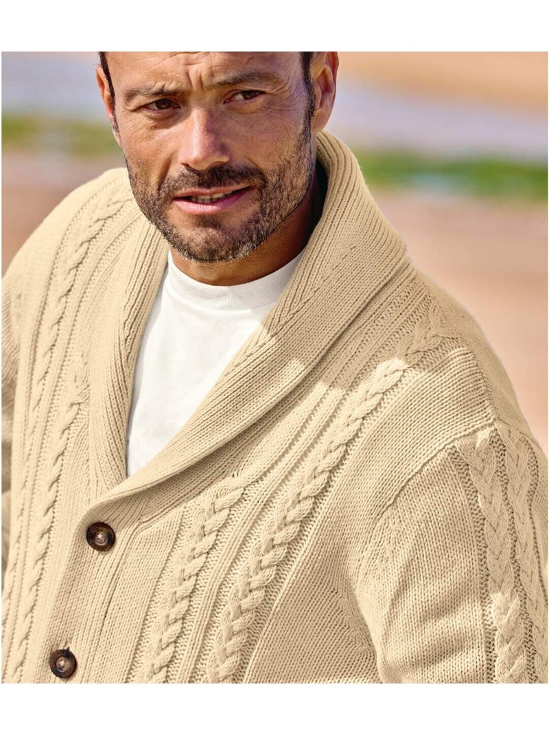 Tricotvest met kabelpatroon en sjaalkraag - ATLAS FOR MEN Beige - Kiabi