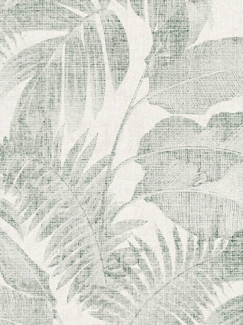 Tropische jungle behang Groen - Kiabi