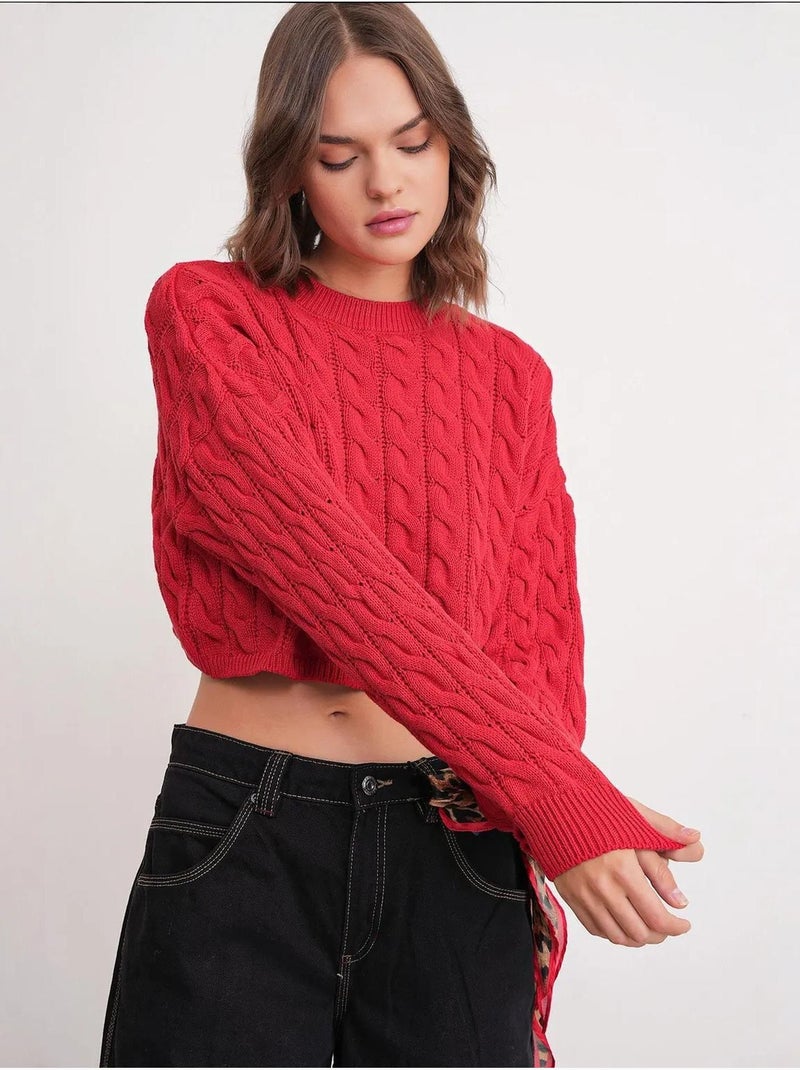 Trui met kabelbreipatroon en ronde hals mixray Rood - Kiabi