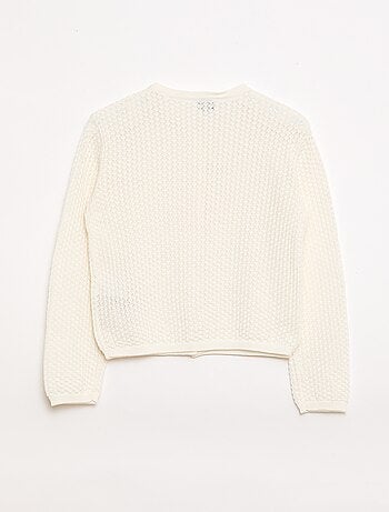 Trui van ajourtricot met ronde hals