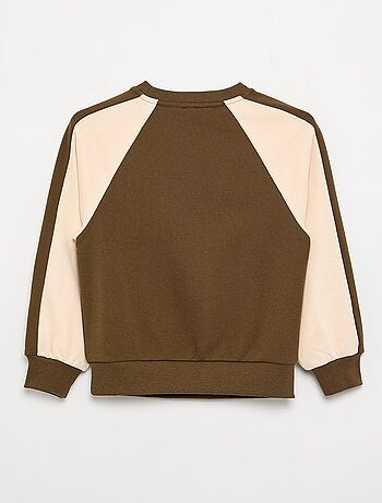 Tweekleurige sweatshirt met print