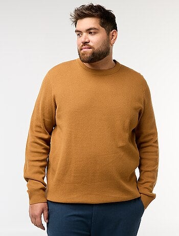Effen trui van tricot