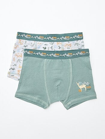 Set van 2 boxershorts 'Petit Béguin'