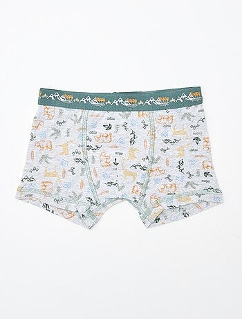 Set van 2 boxershorts 'Petit Béguin'