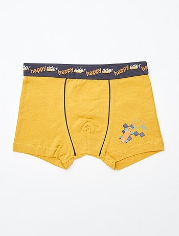 Set van 2 boxershorts 'Petit Béguin'