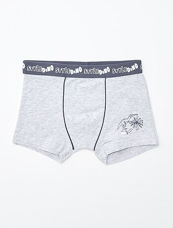 Set van 2 boxershorts 'Petit Béguin'