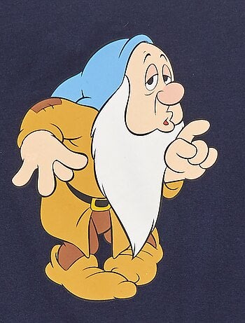 T-shirt 'De zeven dwergen' 'Disney'