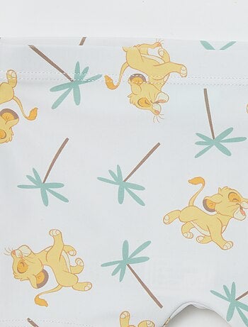 Zwemboxer 'Disney'